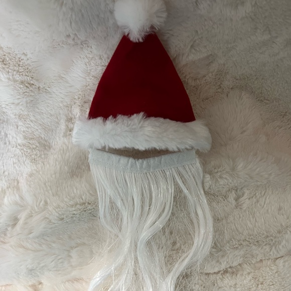Pet Santa beard with hat - Picture 2 of 4
